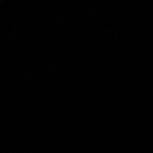 Meet your Posher, Marlene